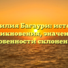 Фамилия Багаури: история возникновения, значение и особенности склонения