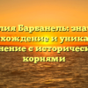 Фамилия Барбанель: значимое происхождение и уникальное склонение с историческими корнями