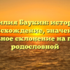 Фамилия Баукин: история и происхождение, значение и правильное склонение на примере родословной