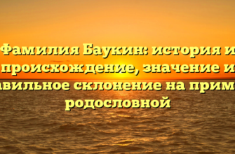 Фамилия Баукин: история и происхождение, значение и правильное склонение на примере родословной