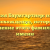 Фамилия Баумгартнер: изучаем происхождение, историю и склонение этого фамильного имени