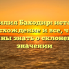 Фамилия Баходир: история, происхождение и все, что вы должны знать о склонении и значении