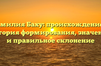Фамилия Баху: происхождение и история формирования, значения и правильное склонение
