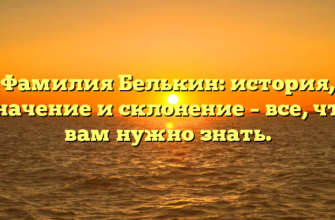 Фамилия Белькин: история, значение и склонение – все, что вам нужно знать.