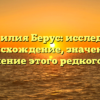 Фамилия Берус: исследуем происхождение, значение и склонение этого редкого рода