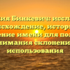 Фамилия Бинкевич: исследуйте происхождение, историю и значение имени для полного понимания склонения и использования