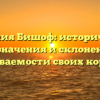 Фамилия Бишоф: исторический обзор, значения и склонение для узнаваемости своих корней