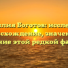 Фамилия Боготов: исследуем происхождение, значение и склонение этой редкой фамилии