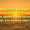 Фамилия Бозкурт: происхождение, интересные факты и правильное склонение – всё, что нужно знать!