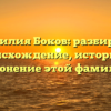 Фамилия Боков: разбираем происхождение, историю и склонение этой фамилии