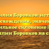 Фамилия Боровков: история происхождения, значения и правильное склонение | Все о фамилии Боровков на сайте!