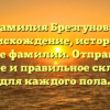 Фамилия Брезгунова: происхождение, история и значение фамилии. Отправление в прошлое и правильное склонение для каждого пола.