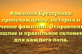 Фамилия Брезгунова: происхождение, история и значение фамилии. Отправление в прошлое и правильное склонение для каждого пола.