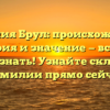 Фамилия Брул: происхождение, история и значение — все, что нужно знать! Узнайте склонение фамилии прямо сейчас