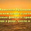 Фамилия Будыкин: происхождение и история, интересные факты и правильное склонение в роде, числе и падеже