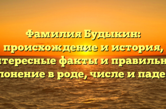 Фамилия Будыкин: происхождение и история, интересные факты и правильное склонение в роде, числе и падеже