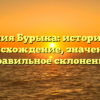 Фамилия Бурыка: историческое происхождение, значение и правильное склонение