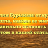 Фамилия Бурыкин: откуда она произошла, каково ее значение и как правильно склонять – всё об этом в нашей статье