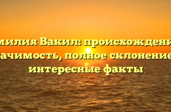 Фамилия Вакил: происхождение и значимость, полное склонение и интересные факты