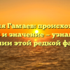 Фамилия Гамаев: происхождение, история и значение — узнайте все о склонении этой редкой фамилии