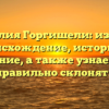 Фамилия Горгишели: изучаем происхождение, историю и значение, а также узнаем как правильно склонять