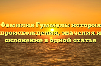 Фамилия Гуммель: история происхождения, значения и склонение в одной статье