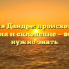 Фамилия Дандре: происхождение, история и склонение — все, что нужно знать