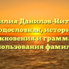 Фамилия Данилов-Нитусов: родословная, история возникновения и грамматика использования фамилии