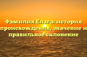 Фамилия Елага: история происхождения, значение и правильное склонение Фамилия Елага: история происхождения, значение и правильное склонение