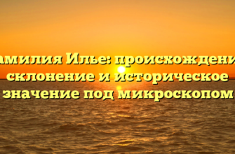 Фамилия Илье: происхождение, склонение и историческое значение под микроскопом Фамилия Илье: происхождение, склонение и историческое значение под микроскопом