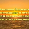 Фамилия Кабакова: происхождение и история, значение и правильное склонение – все, что нужно знать!