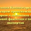 Фамилия Калиногорский: исследуем происхождение, историю и склонение этой уникальной фамилии с помощью экспертов