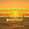 Фамилия Калныш: история, происхождение и склонение. Узнайте значение вашей фамилии!
