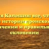 Фамилия Калошин: все, что нужно знать об истории происхождения, значении и правильном склонении