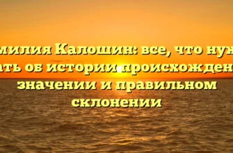 Фамилия Калошин: все, что нужно знать об истории происхождения, значении и правильном склонении Фамилия Калошин: все, что нужно знать об истории происхождения, значении и правильном склонении
