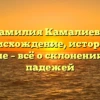 Фамилия Камалиева: происхождение, история и значение – всё о склонении рода и падежей