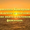 Фамилия Камбулов — происхождение и значимость: всё, что нужно знать о склонении этой фамилии.