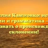 Фамилия Камионко: истоки, традиции и грамматика — все, что нужно знать о происхождении и склонении!