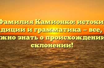 Фамилия Камионко: истоки, традиции и грамматика — все, что нужно знать о происхождении и склонении!
