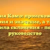Фамилия Камо: происхождение, история и значение, а также правила склонения – полное руководство
