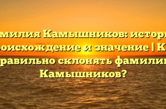 Фамилия Камышников: история, происхождение и значение | Как правильно склонять фамилию Камышников? Фамилия Камышников: история, происхождение и значение | Как правильно склонять фамилию Камышников?