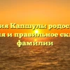Фамилия Капшуль: родословная, значения и правильное склонение фамилии