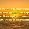 Фамилия Карачкино: происхождение, история и значение. Как правильно склонять фамилию Карачкино?