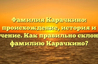 Фамилия Карачкино: происхождение, история и значение. Как правильно склонять фамилию Карачкино? Фамилия Карачкино: происхождение, история и значение. Как правильно склонять фамилию Карачкино?