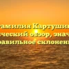 Фамилия Картушин: исторический обзор, значение и правильное склонение