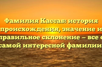 Фамилия Кассаб: история происхождения, значение и правильное склонение — все о самой интересной фамилии! Фамилия Кассаб: история происхождения, значение и правильное склонение — все о самой интересной фамилии!