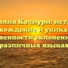 Фамилия Качиури: история, происхождение и уникальные особенности склонения в различных языках
