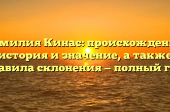 Фамилия Кинас: происхождение, история и значение, а также правила склонения — полный гид