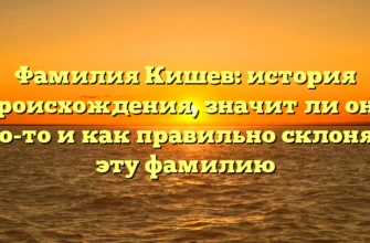 Фамилия Кишев: история происхождения, значит ли она что-то и как правильно склонять эту фамилию Фамилия Кишев: история происхождения, значит ли она что-то и как правильно склонять эту фамилию
