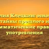 Фамилия Клецкин: основание, тайны прошлого и грамматические правила употребления